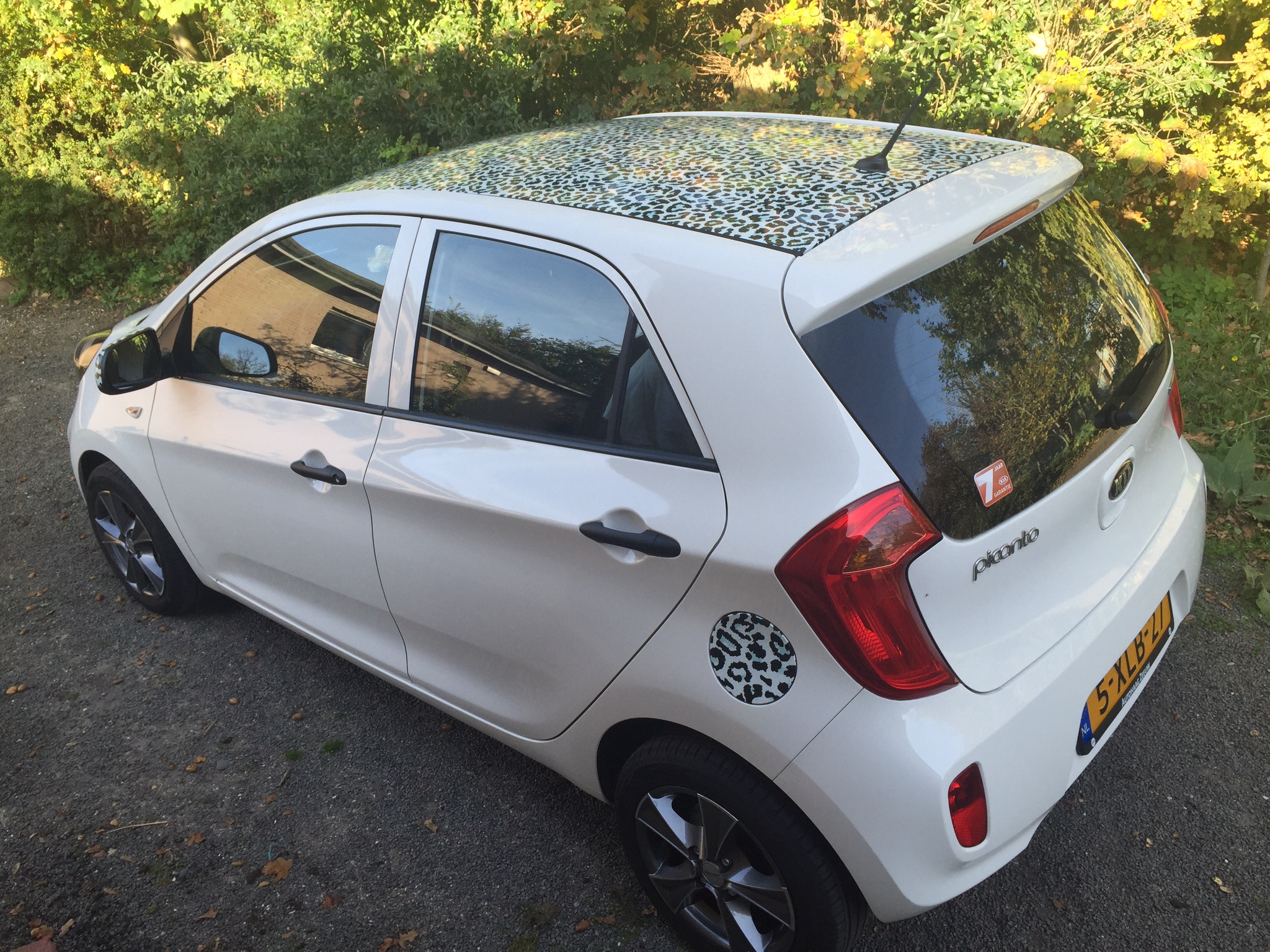 auto dak wrappen prijs